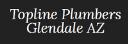 Topline Plumbers Glendale logo